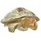 Статуэтка "Черепаха Caroline" золотая Lalique 10139300