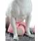 Статуэтка собака "Чихуахуа с зефиром" Lladro 01009191