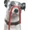 Статуэтка собака "Джек-рассел с лакрицей" Lladro 01009192